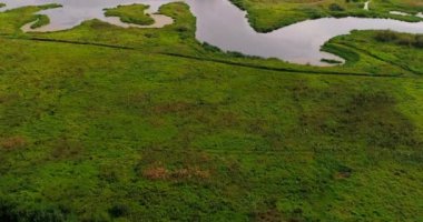 Eğimli quadcopter orman üzerinde uçan üzerinden nehir havadan görünümü.