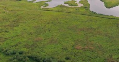 Eğimli quadcopter orman üzerinde uçan üzerinden nehir havadan görünümü.