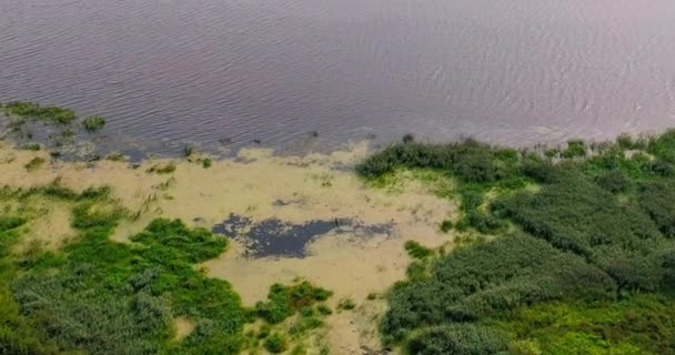 Воздух реки Волги с летающего квадрокоптера над лесом. — стоковое видео