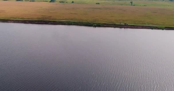 Wolga rivier luchtfoto van vliegende quadcopter over bos. — Stockvideo