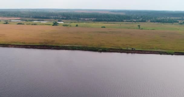 Wolga rivier luchtfoto van vliegende quadcopter over bos. — Stockvideo