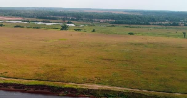 Pole poblíž Volga řeku letecký pohled od Kvadrokoptéra létání nad Les. — Stock video