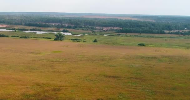 Pole w pobliżu Volga rzeki ptaka z latania quadcopter nad lasem. — Wideo stockowe