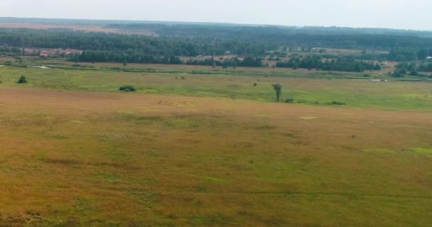 Pole w pobliżu Volga rzeki ptaka z latania quadcopter nad lasem. — Wideo stockowe