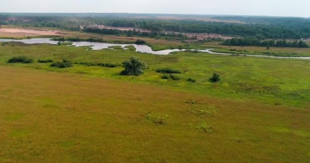 Champ près de la Volga vue aérienne du quadcopter volant au-dessus de la forêt .