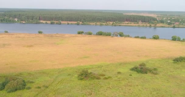 Górny widok z lotu quadcoptera nad lasem na rzekę Wołgę. — Wideo stockowe