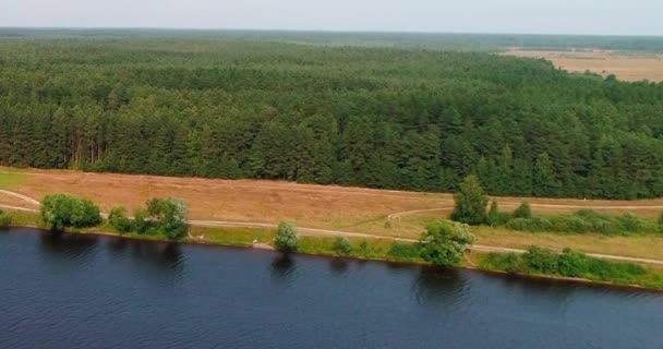 Las i polnej drodze w pobliżu Volga rzeki ptaka z latania quadcopter. — Wideo stockowe