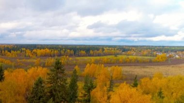 Orman parlak turuncu sarı kırmızı renk hava hava görünümünü helikopter uçak düşmek.