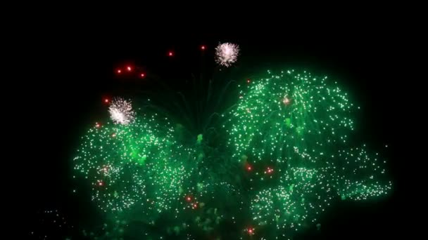 Firework display at night on black background. — Stock Video