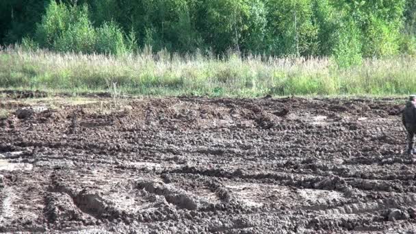 Char militaire pour l'équipe de Strikeball avec mitrailleuses . — Video