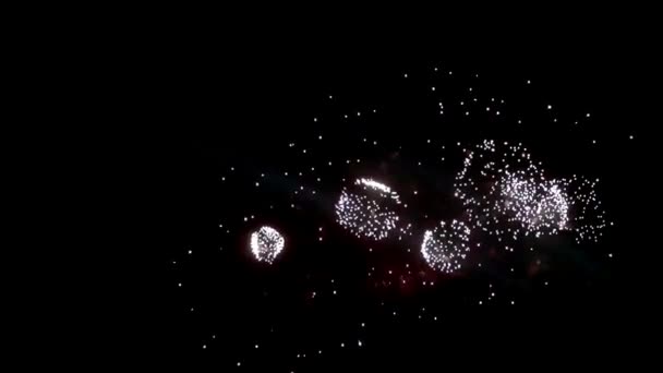 Explosiones amarillas verdes rojas brillantes de la exhibición de fuegos artificiales sobre fondo negro . — Vídeo de stock