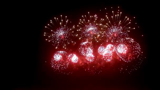 Exhibición de fuegos artificiales en la noche sobre fondo negro . — Vídeo de stock