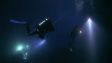 Scuba diver gece suyun altında altındaki arka plan üzerinde el feneri ile.