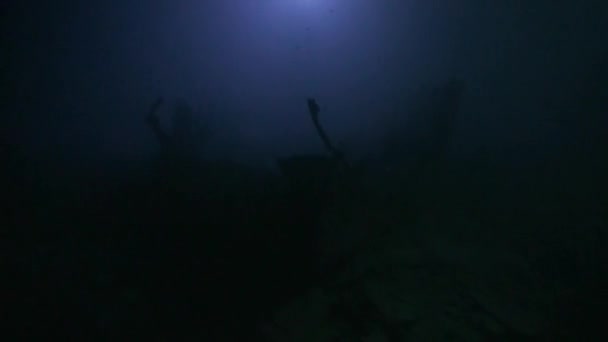 Buceador con linterna sobre fondo de fondo por la noche bajo el agua . — Vídeos de Stock