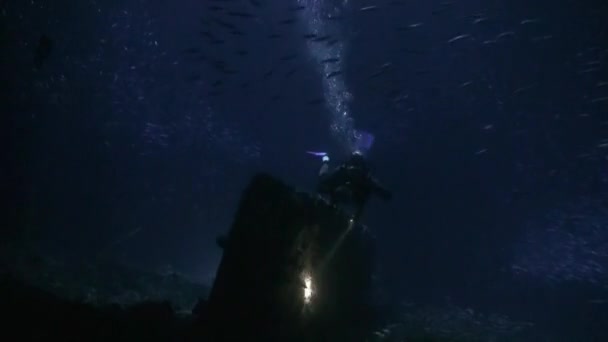 Scuba diver med ficklampa på bakgrund av botten på natten under vattnet. — Stockvideo