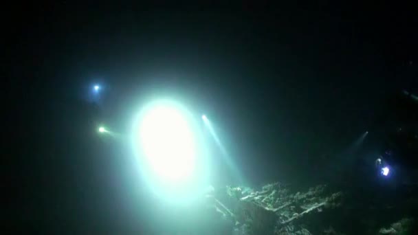 Scuba diver zseblámpát a háttérben, az alsó, éjszakai víz alatti. — Stock videók
