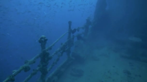 Naufragio bajo el agua en el Mar Rojo Egipto . — Vídeos de Stock