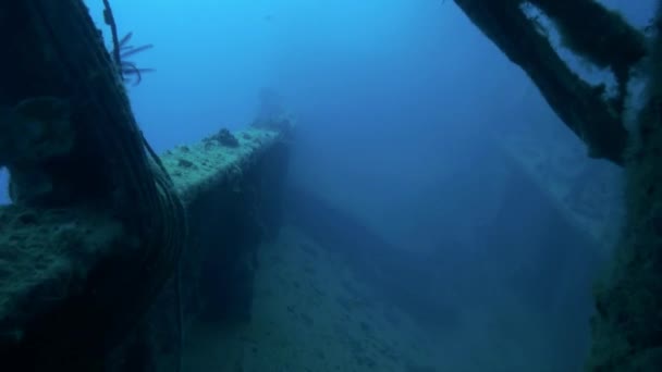 Naufragio bajo el agua en el Mar Rojo Egipto . — Vídeos de Stock