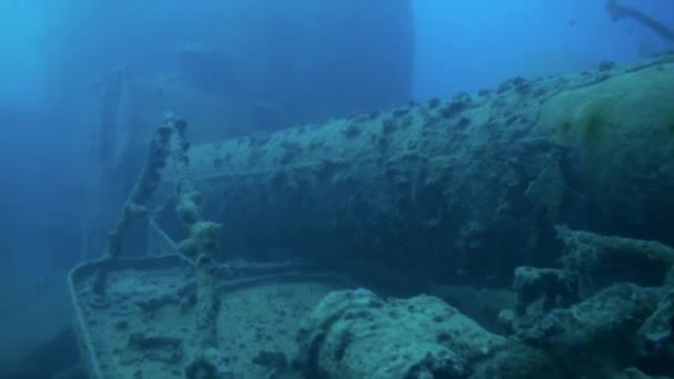 Schipbreuk onderwater in de rode zee-Egypte. — Stockvideo