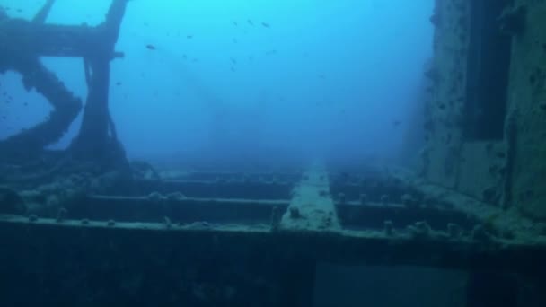 Vrak pod vodou v Egyptě Rudé moře. — Stock video
