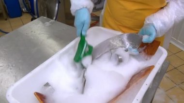 Temizleme ve yıkama salata Mikser Makinası üretim.