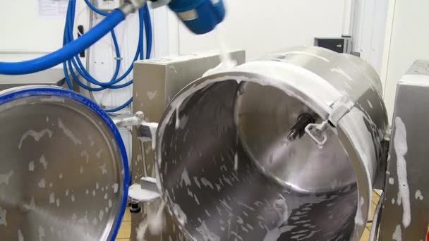 Rengöring och sallad mixer tvättmaskin i produktion. — Stockvideo