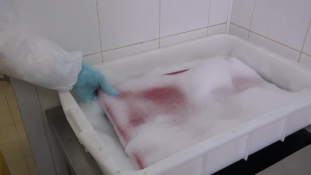 Schoonmaken en wassen van kleurrijke snijplank. — Stockvideo