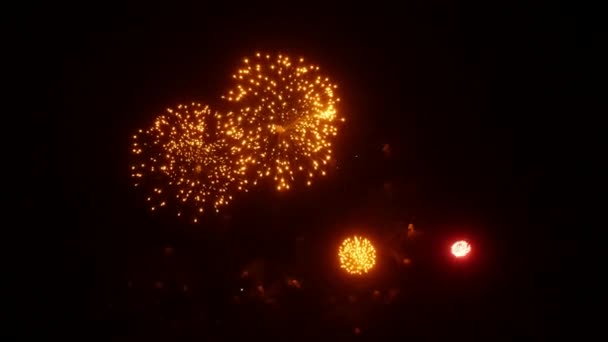 Firework display at night for New Year Christmas and other holidays. — Stock Video