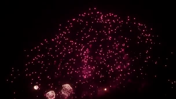 Exposição de fogo de artifício à noite para o Natal de Ano Novo e outros feriados . — Vídeo de Stock
