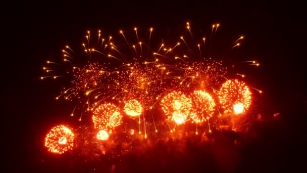 Exibição de fogos de artifício à noite no fundo preto . — Vídeo de Stock