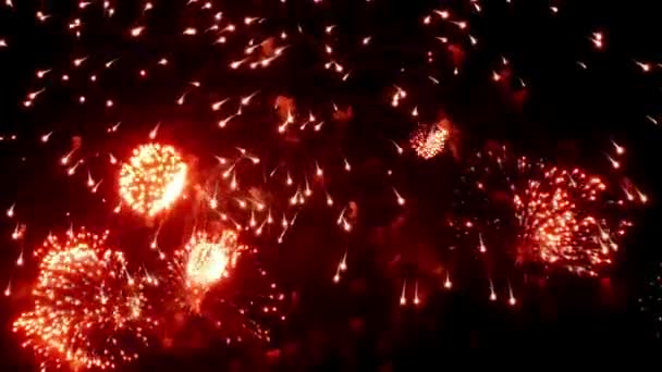 Affichage de feux d'artifice multicolore coloré la nuit sur fond noir . — Video