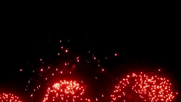 Fuegos artificiales pantalla multicolor colorido en la noche sobre fondo negro . — Vídeos de Stock