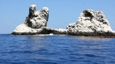 Kuşlar okyanus Pasifik Okyanusu ortasında kayaya.