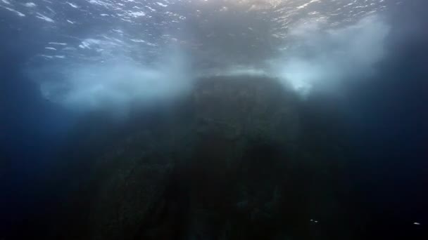 Spustíme z útesu pod vodou v Tichém oceánu. — Stock video