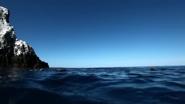 Хвост кита возле водолазов на поверхности воды в Тихом океане . — стоковое видео