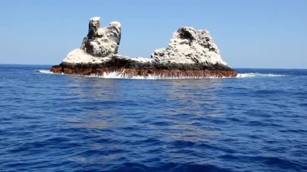 Ptáci na skále uprostřed oceánu v Tichém oceánu. — Stock video