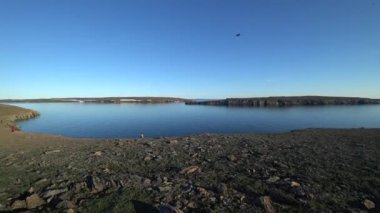 Helikopter grubu üzerinde sahil, Kuzey Buz Denizi New Earth Vaigach adada robot.