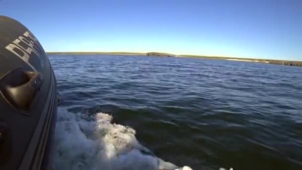 Нос резиновой лодки пересекает водную поверхность Северного Ледовитого океана на острове Вайгач . — стоковое видео