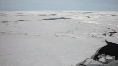Beyaz buz beyaz deniz Rusya'da.