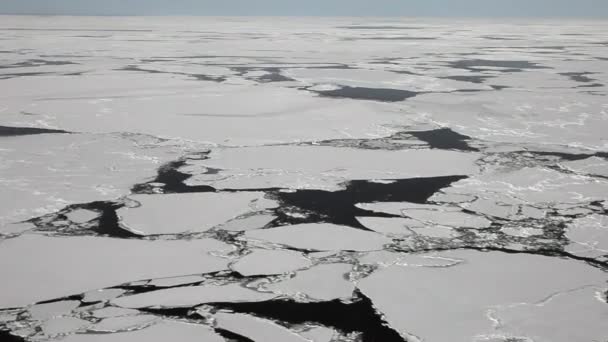 White ice of White Sea in Russia. — Stock Video