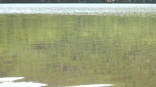 Lacul în munți verzi cu apă curată limpede din Marea Japoniei . — Videoclip de stoc