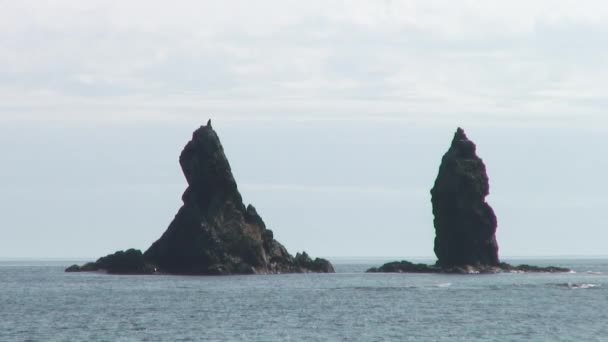 Meer Wellen Wasseroberfläche auf grünen steinigen Felsen Küste Strand in japanischem Meer. — Stockvideo