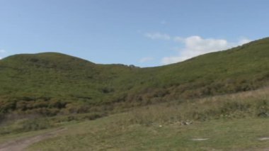 Yeşil taşlı taşlar kıyı şeridi plajda Japonya deniz feneri seamark.