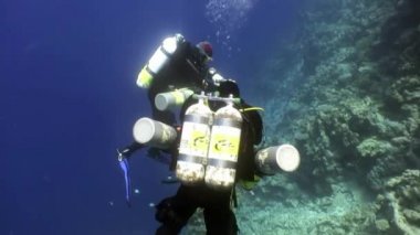 Kızıldeniz'derin sualtı Yüzme iki dalgıç.
