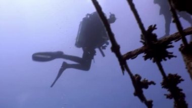 Yüzme dalgıçların batık Salem hızlı derin sualtı Kızıldeniz keşfetmek.