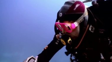 Yüzme dalgıçların batık Salem hızlı derin sualtı keşfetmek.