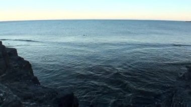 Yeni Dünya Vaigach adasında Arktik Okyanusu Sahili ve su yüzeyine.