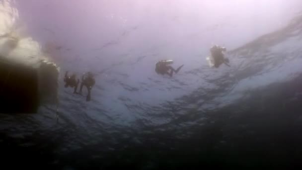 Scuba diver Kızıldeniz'derin sualtı Yüzme silüeti. — Stok video