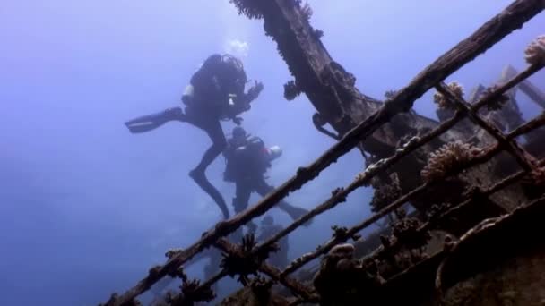 Úszás búvárok Fedezze fel a hajótörés mély víz Vörös-tenger Salem Express. — Stock videók