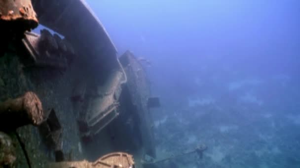 Batık Salem hızlı derin sualtı Kızıldeniz. — Stok video